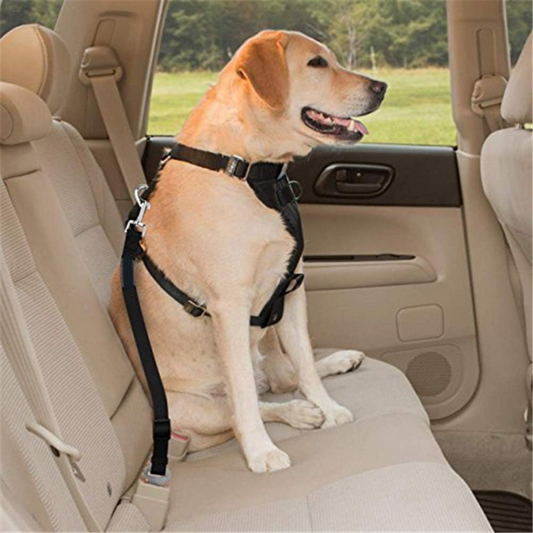 FidoFix