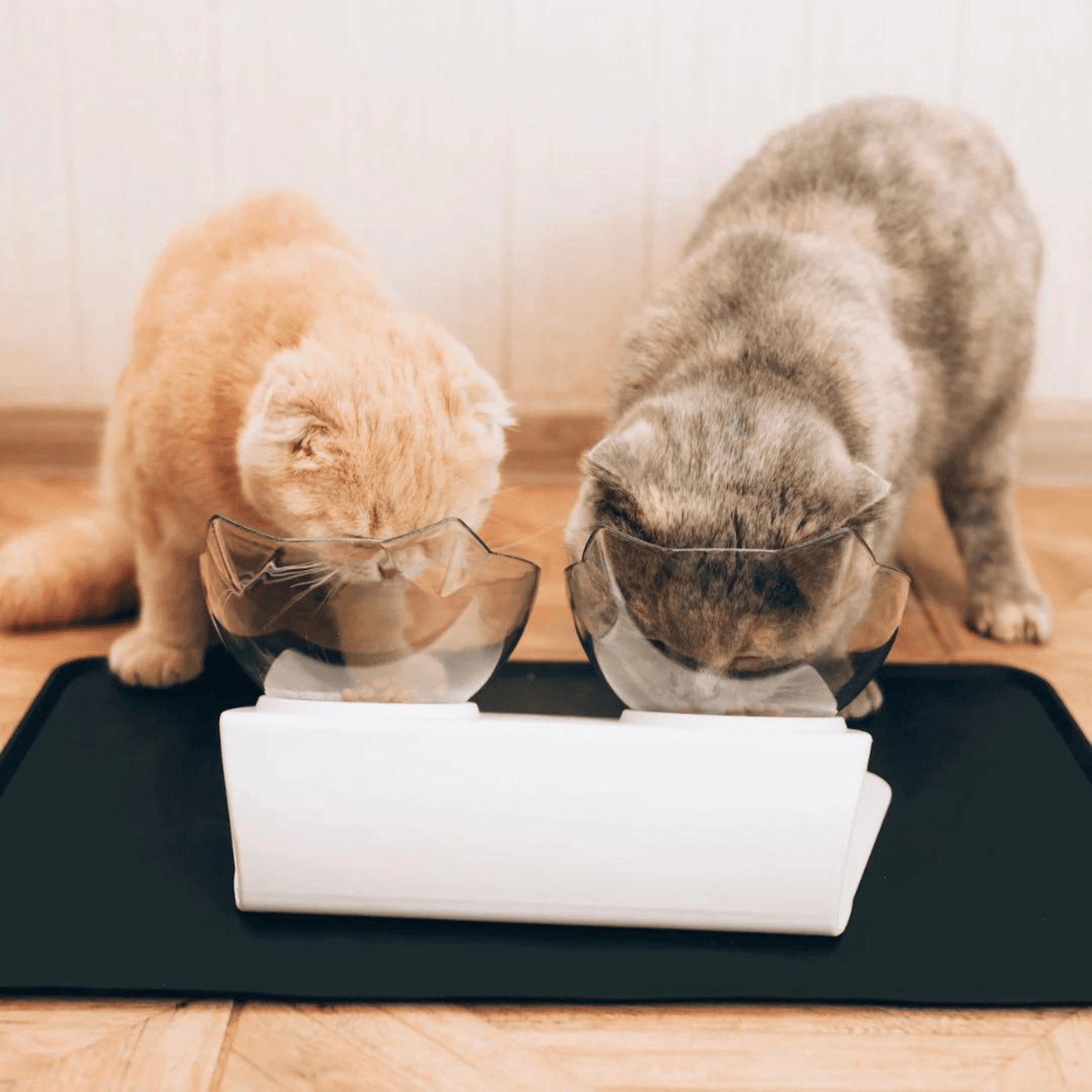 Bol Orthopédique Anti-Vomissement Pour Chat