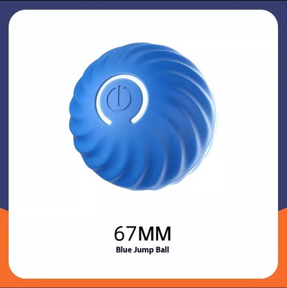 TrainingBall