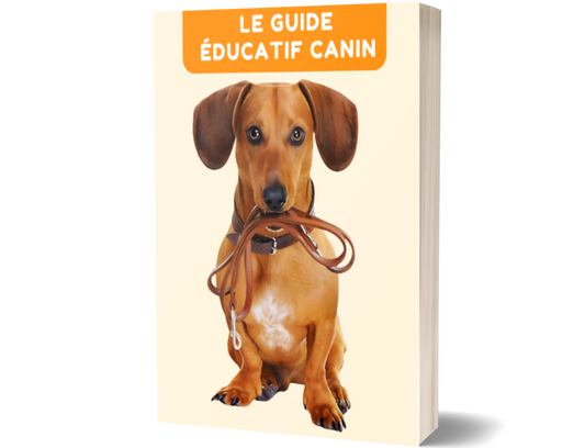 Guide Éducatif Canin (Gratuit)