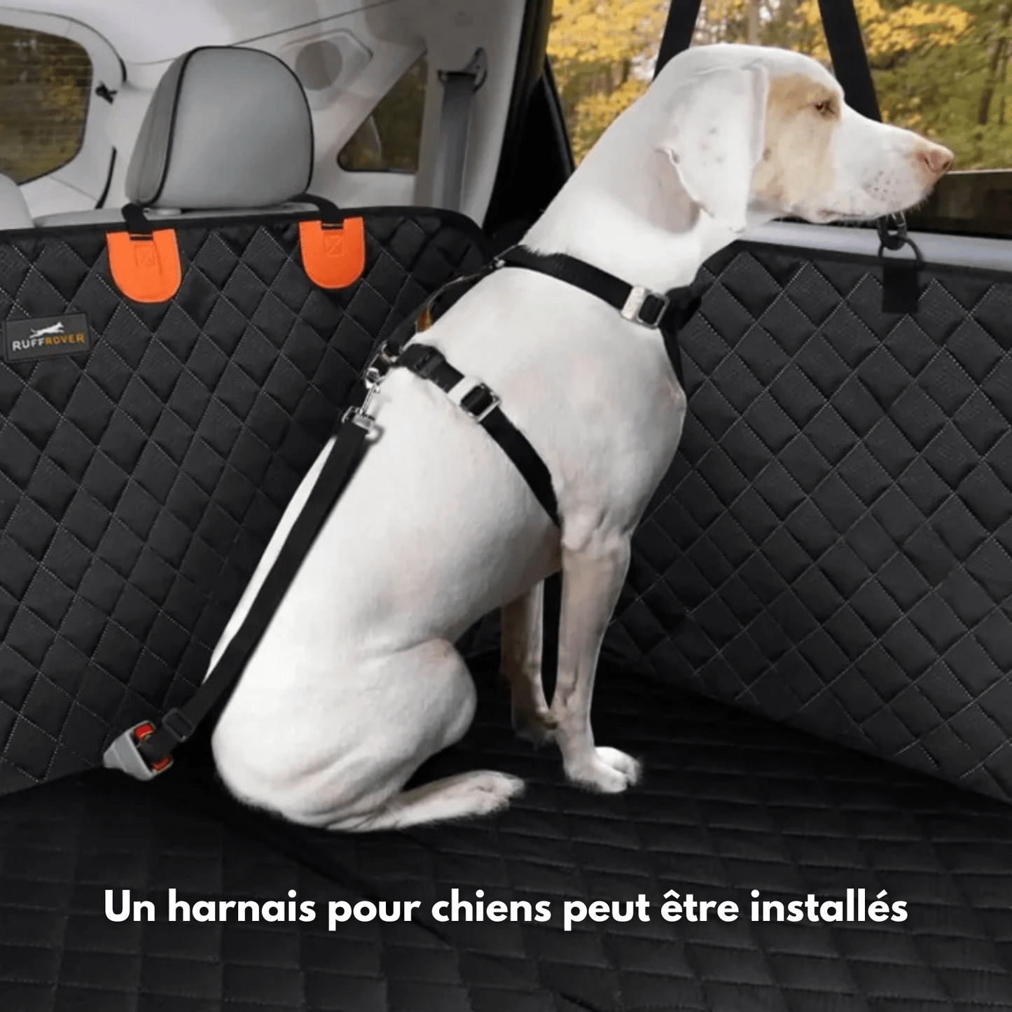 PawProtect 2.0 - Protecteur de Siège Auto pour Chien Renforcé