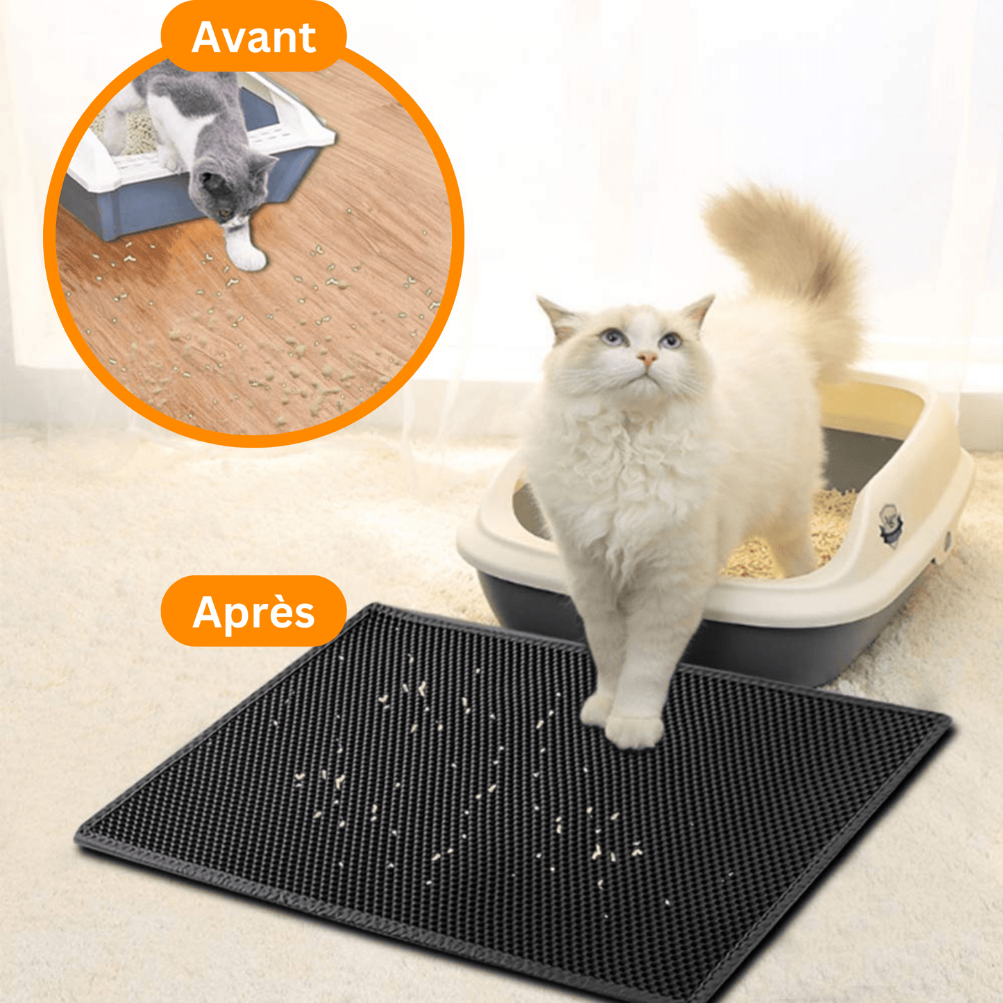 Tapis Magique - Royal Pet